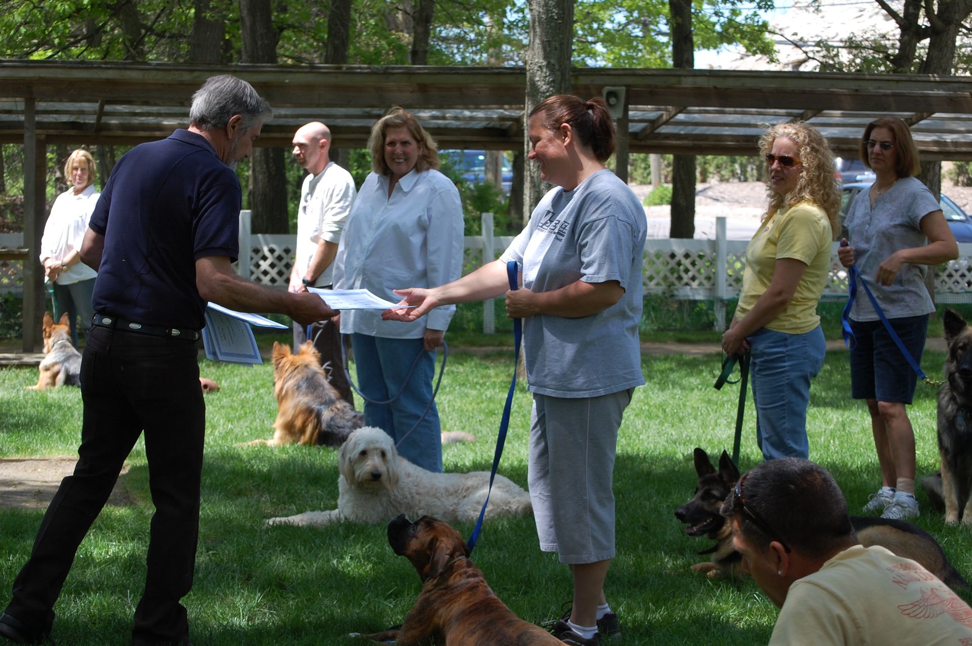 Ponies grazing in a grassy enclosure, white fence, red barn in background.