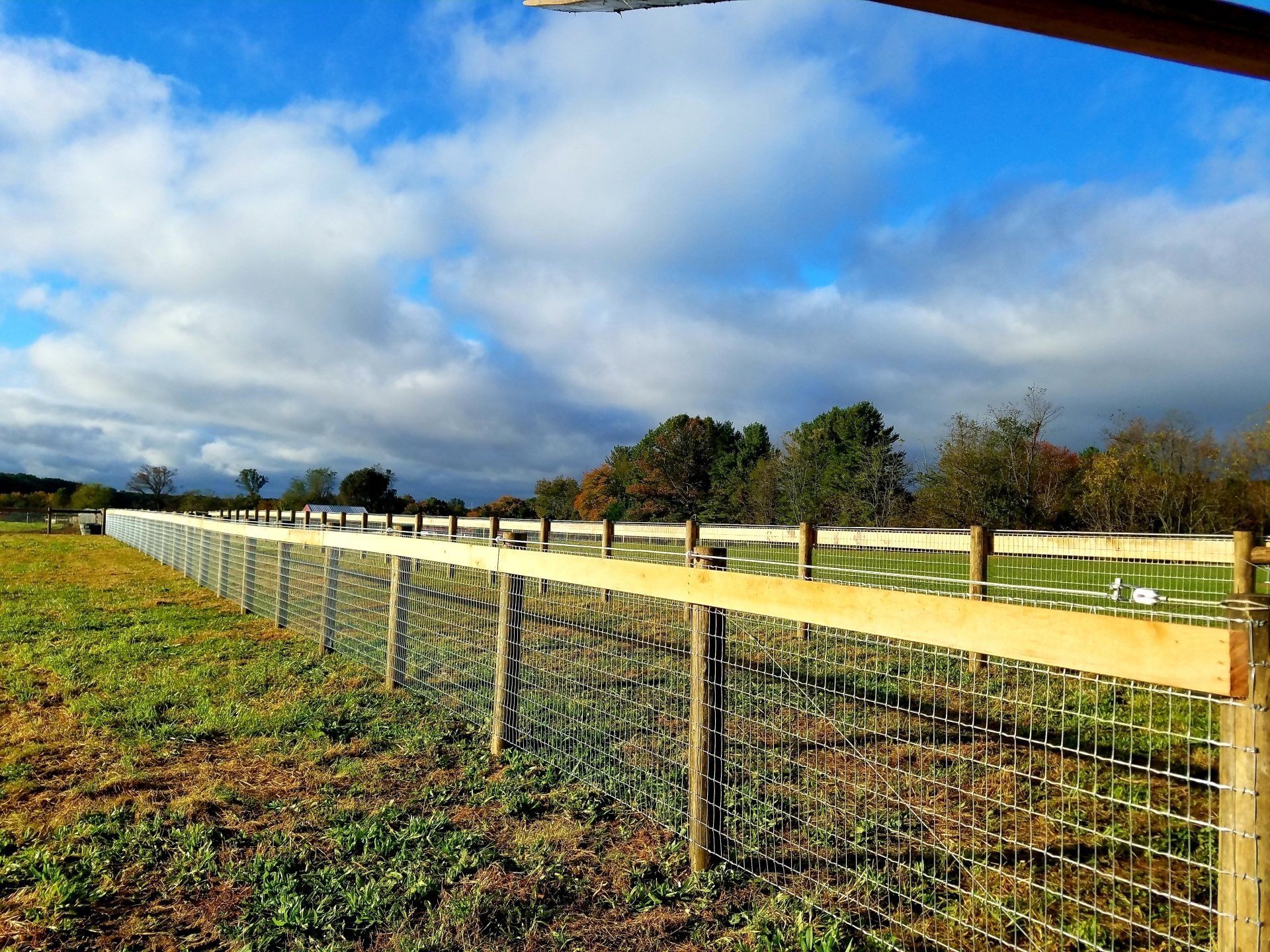 Horse Fencing | Wire Mesh Fencing | Narvon, PA