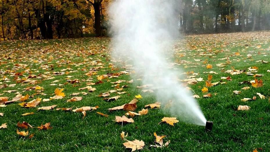 A sprinkler is spraying water on a lush green field covered in leaves.