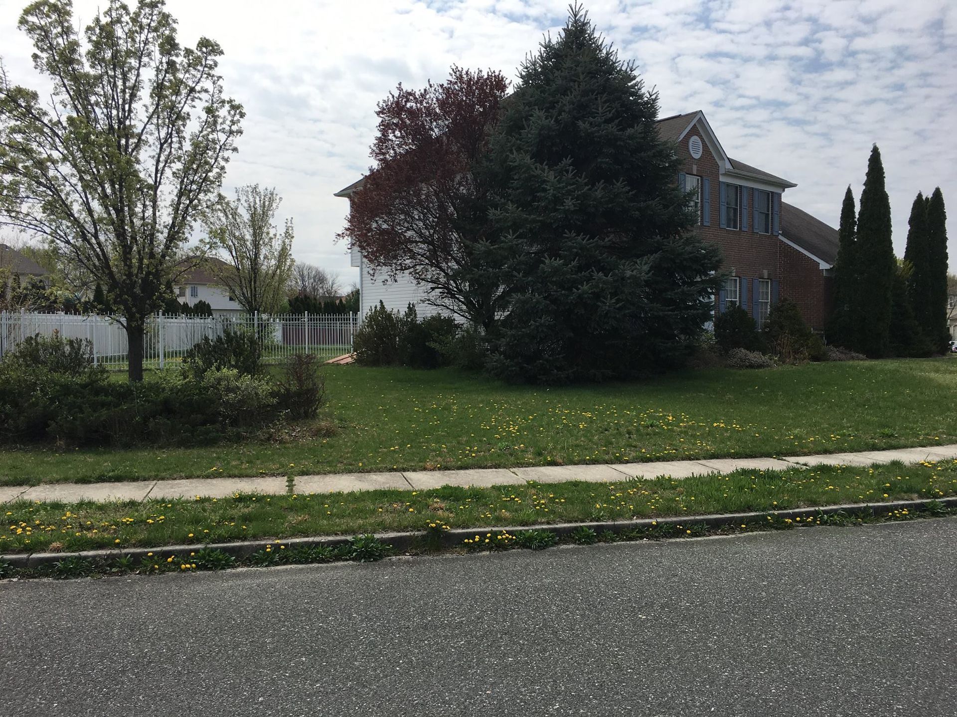 A house with a lot of trees in front of it