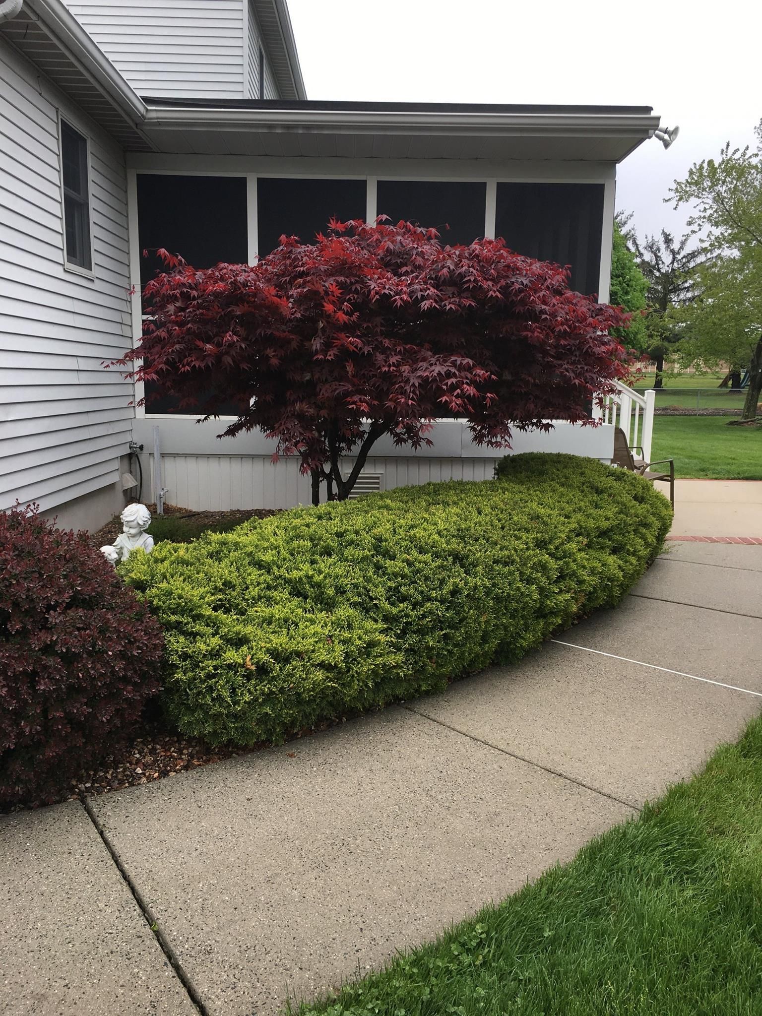 A house with a screened in porch and a tree in front of it.