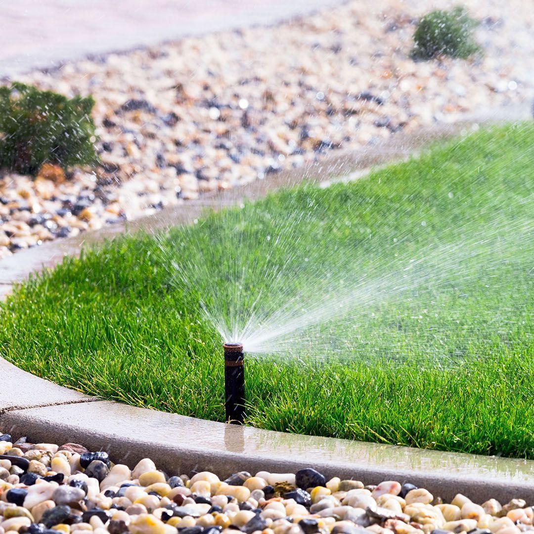 A sprinkler is spraying water on a lush green lawn.