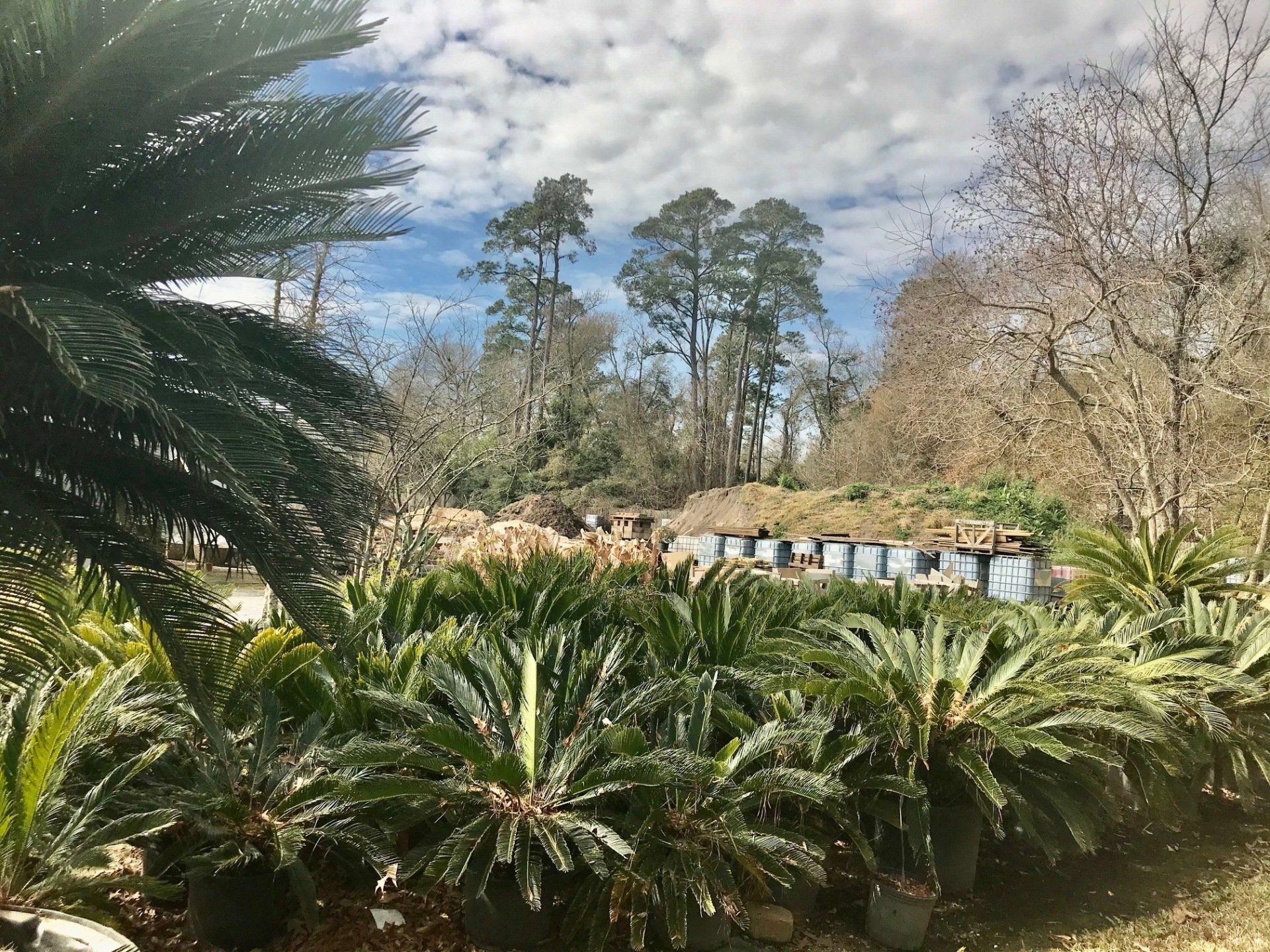 Kingwood Mulch Landscaping Materials TX