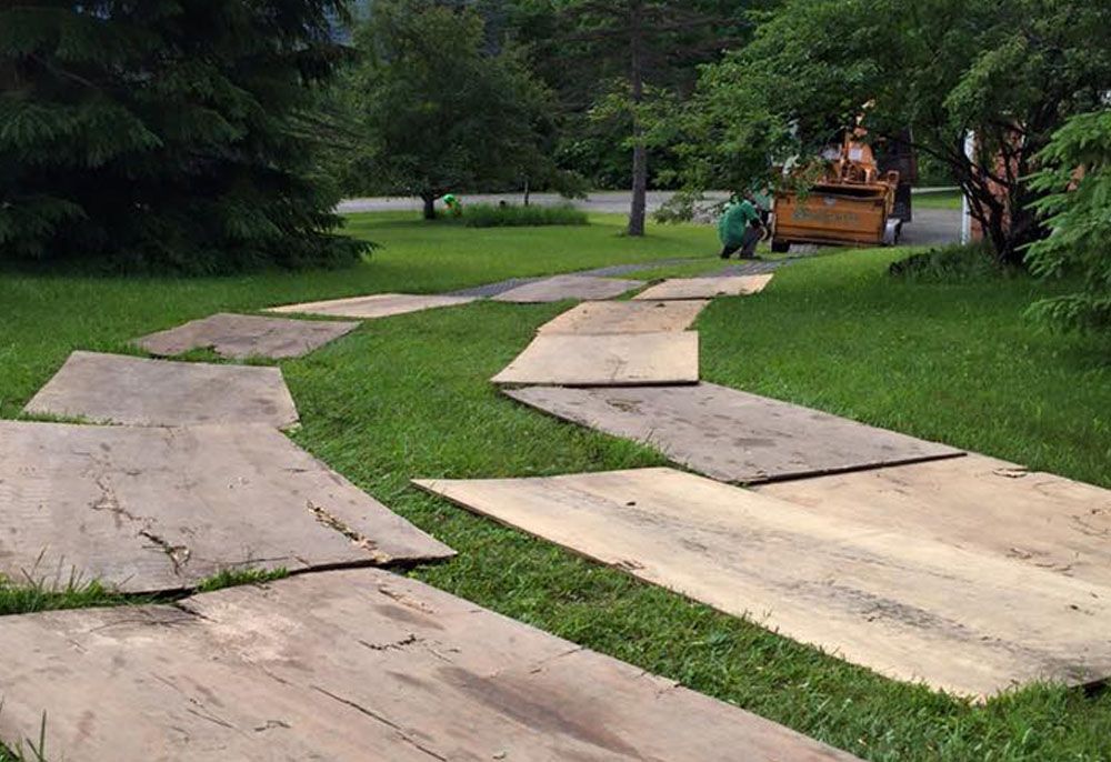 Lawn path