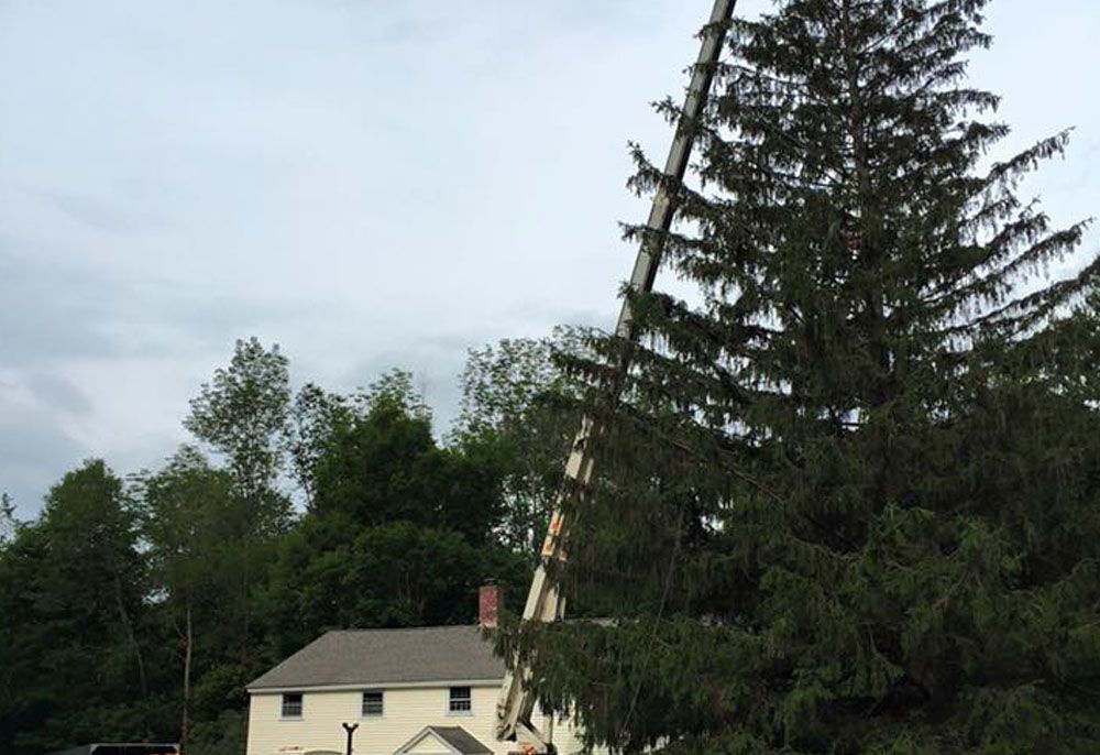Crane removal