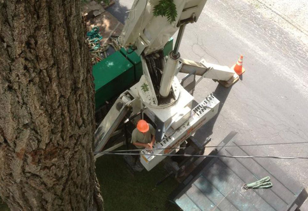 Greater Heights Tree and Land Management