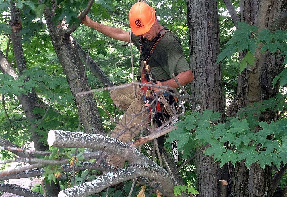 Greater Heights Tree and Land Management
