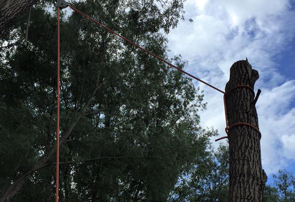 Greater Heights Tree and Land Management