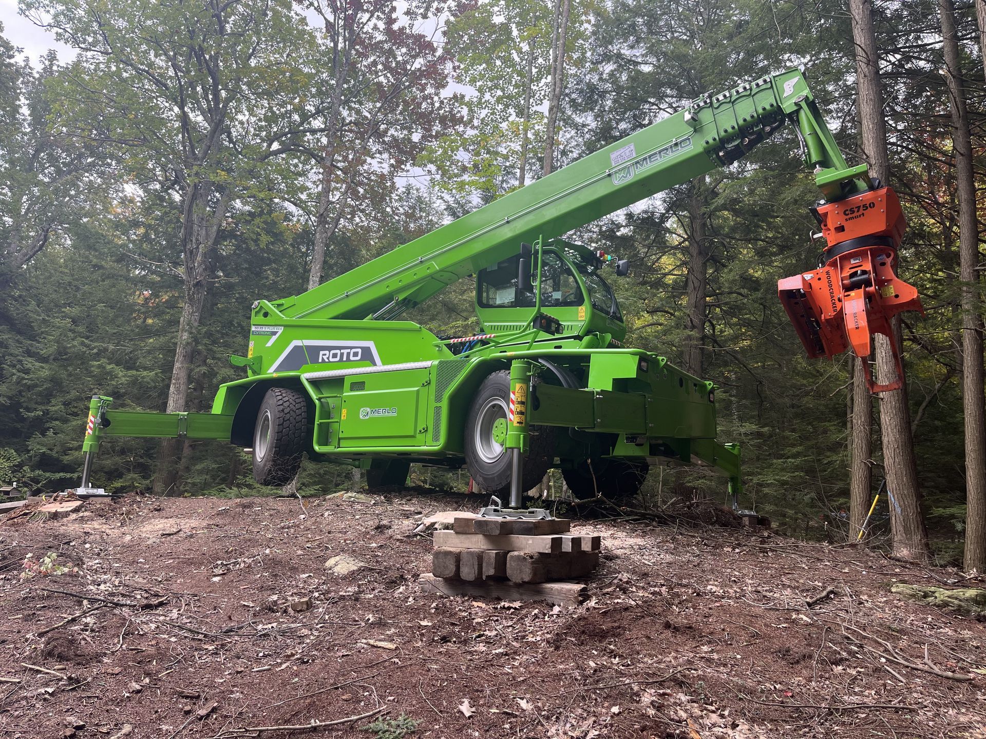 Merlo #5