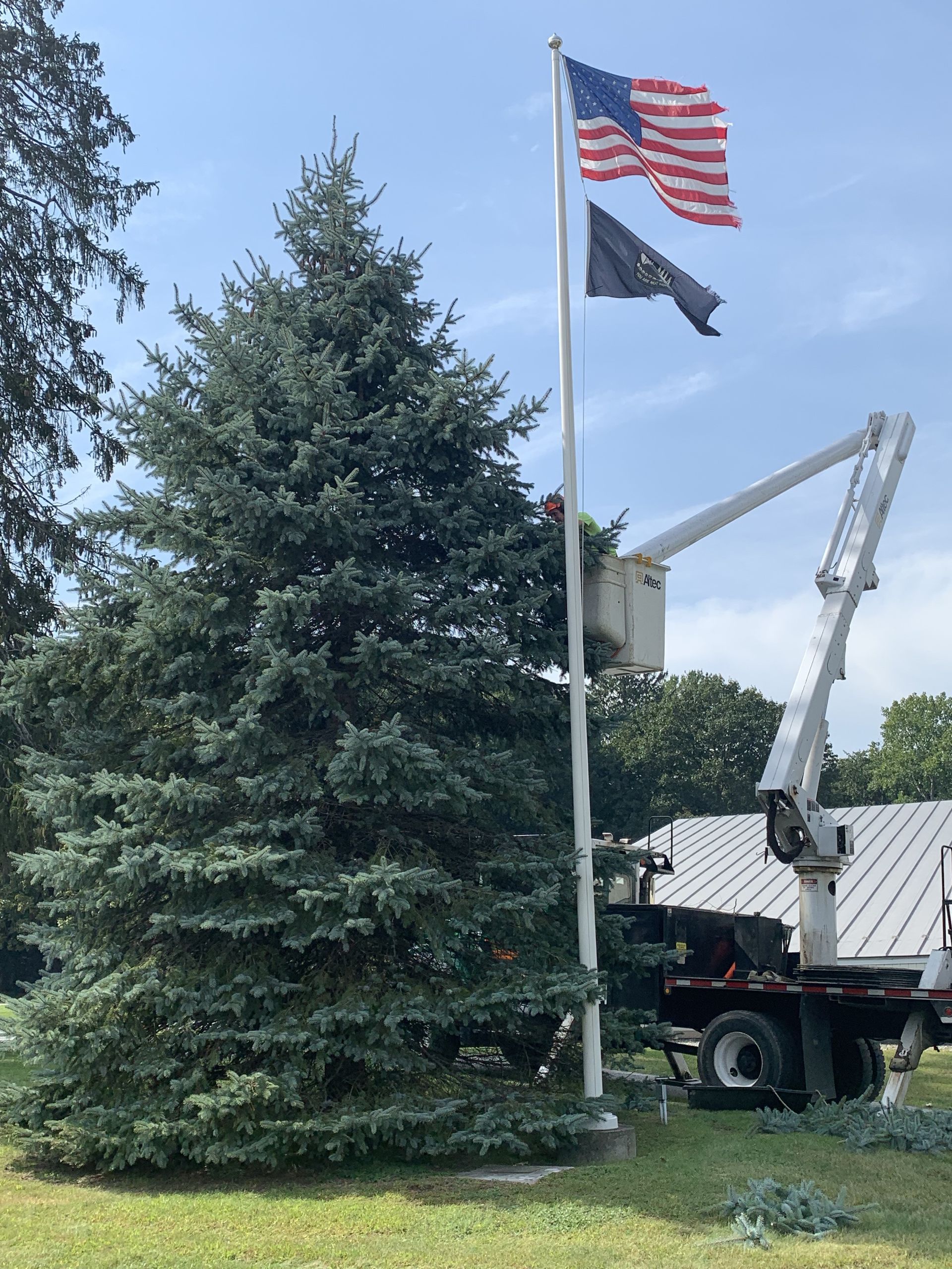 Tree Pruning #1