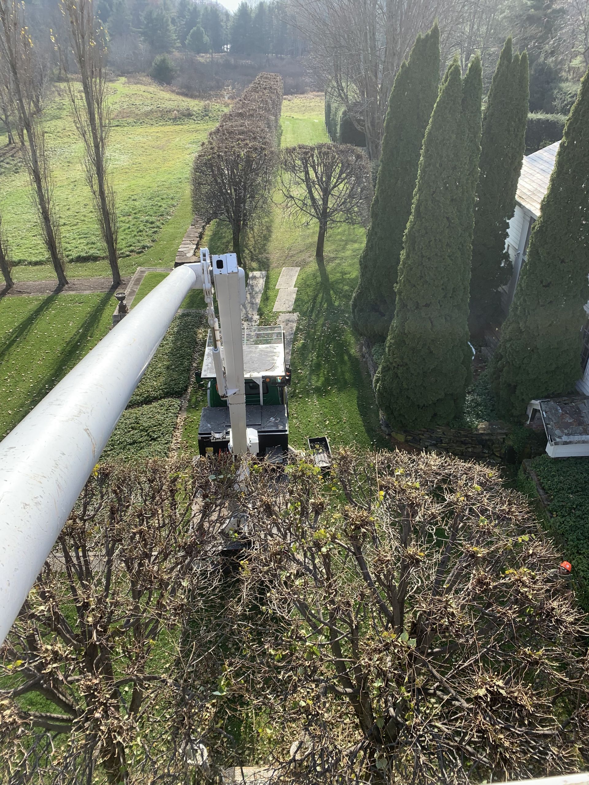 Tree Pruning #4