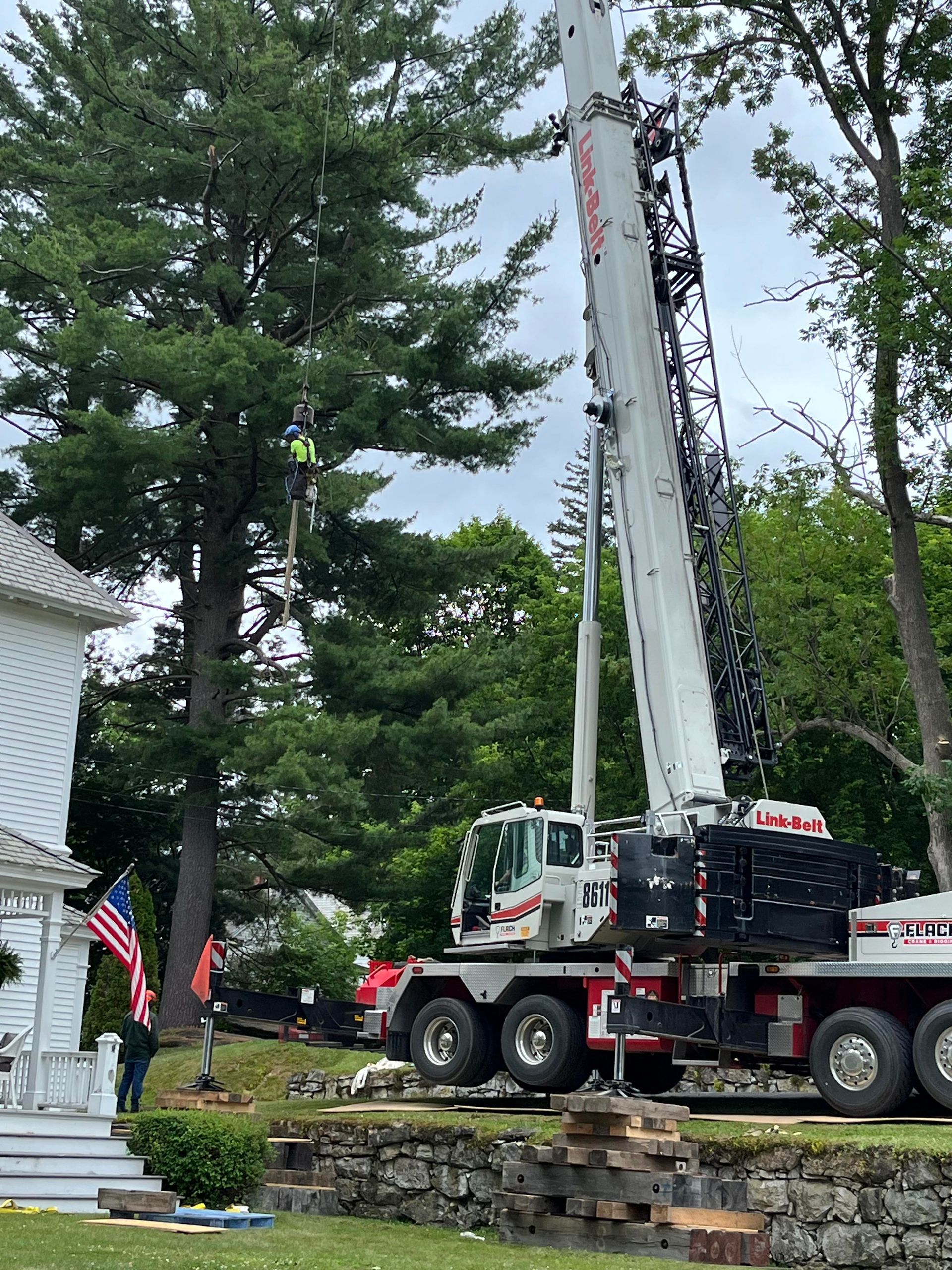 Tree Removal #12