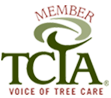 TCIA logo