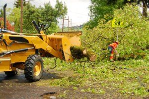 Storm cleanup
