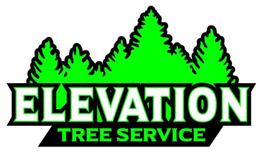Elevation Tree Service - Logo