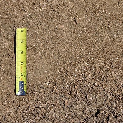 Close-up of brown, fine-grained soil with a yellow tape measure for scale, showing the depth of the soil.