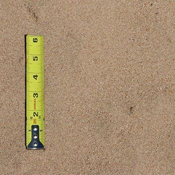 A yellow tape measure on tan sand, measuring just over 2 inches.