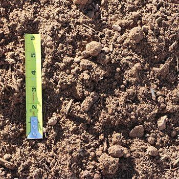 Brown soil with small rocks, a yellow tape measure.