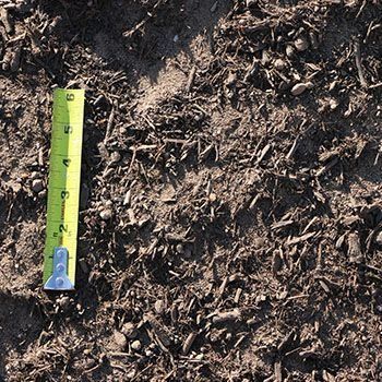Close-up of dark soil with wood chips, a yellow measuring tape shows a 5-inch depth.