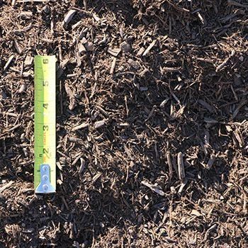 Dark brown mulch with a yellow and silver measuring tape.