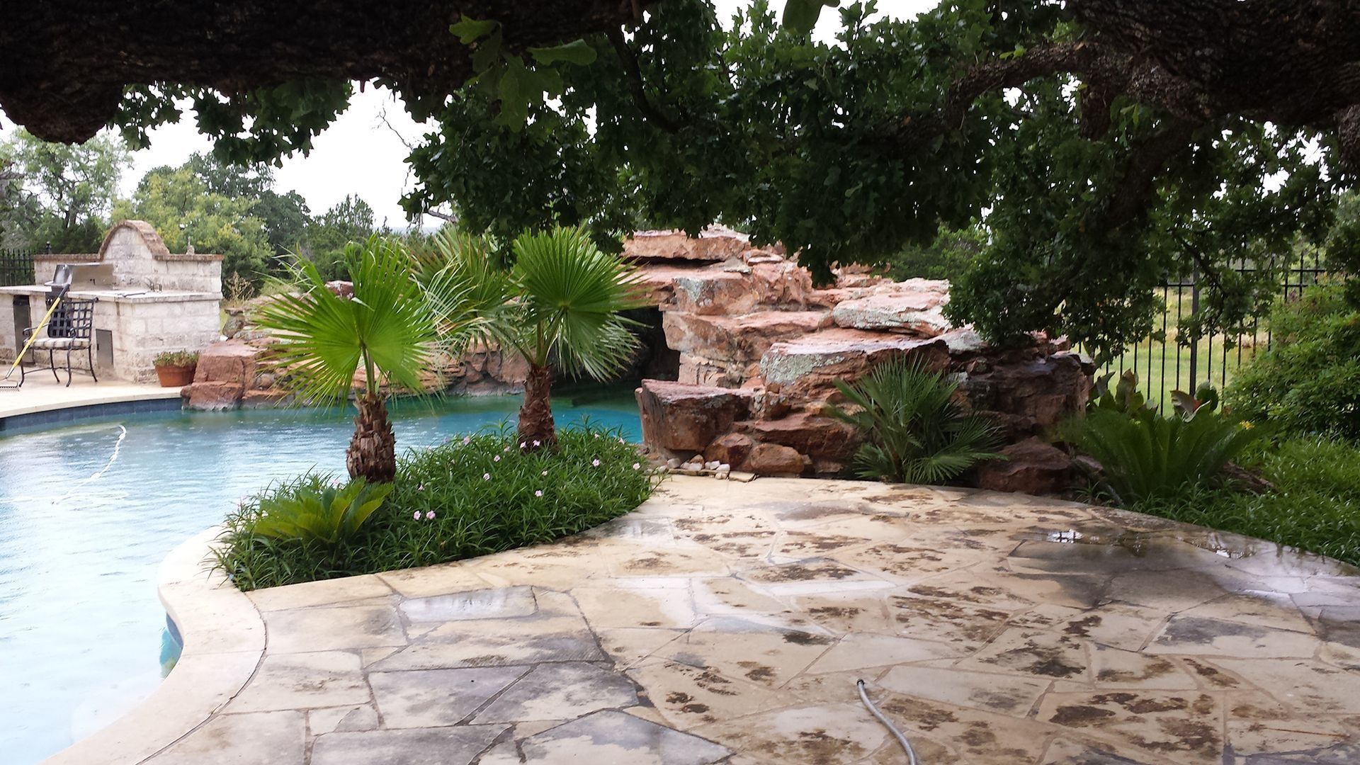 A swimming pool with a rock waterfall, palm trees, and a patio area beneath large shade trees.