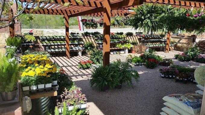 A garden center with rows of potted plants under a wooden pergola.