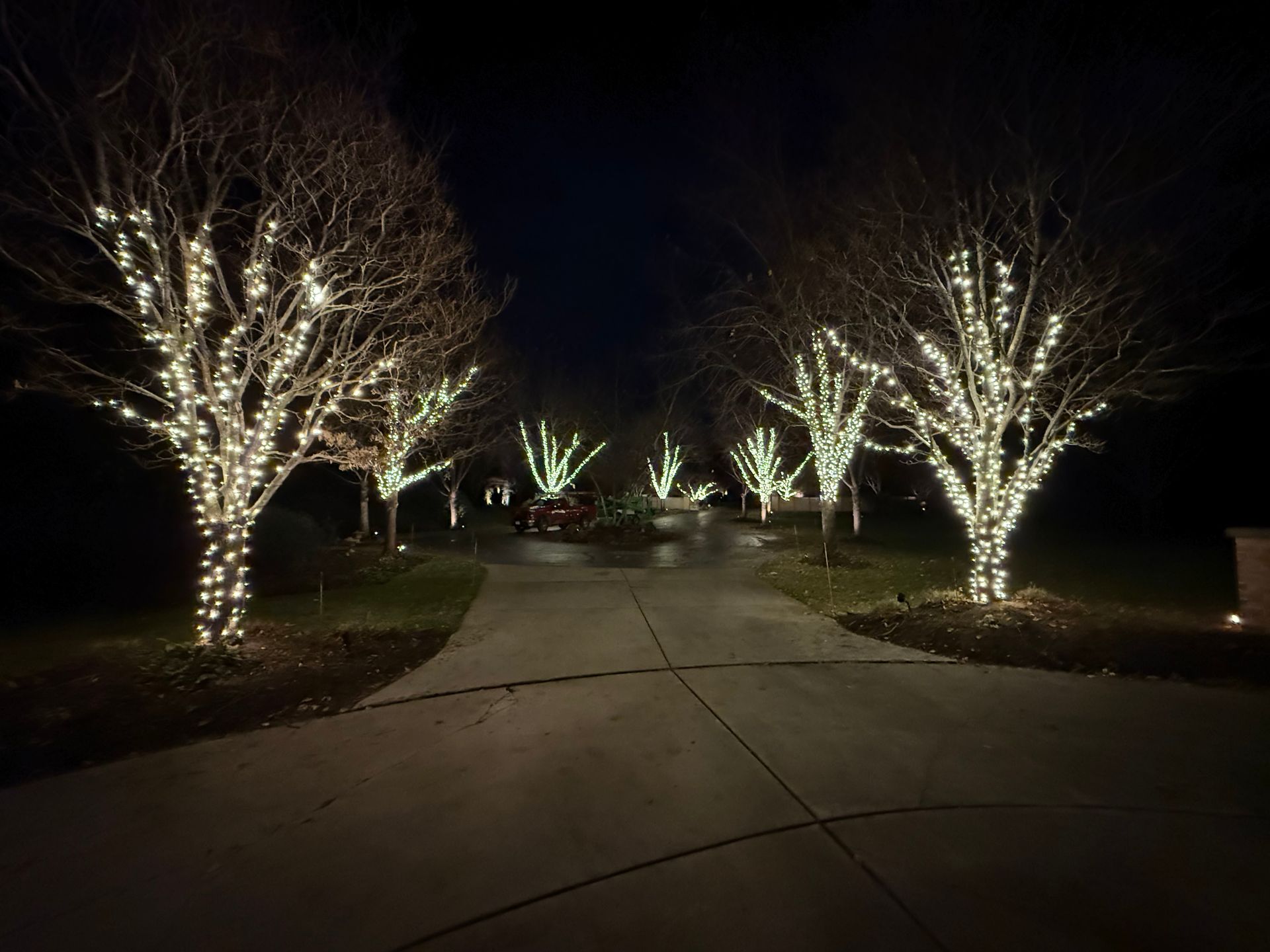 A driveway with trees decorated with christmas lights at night.