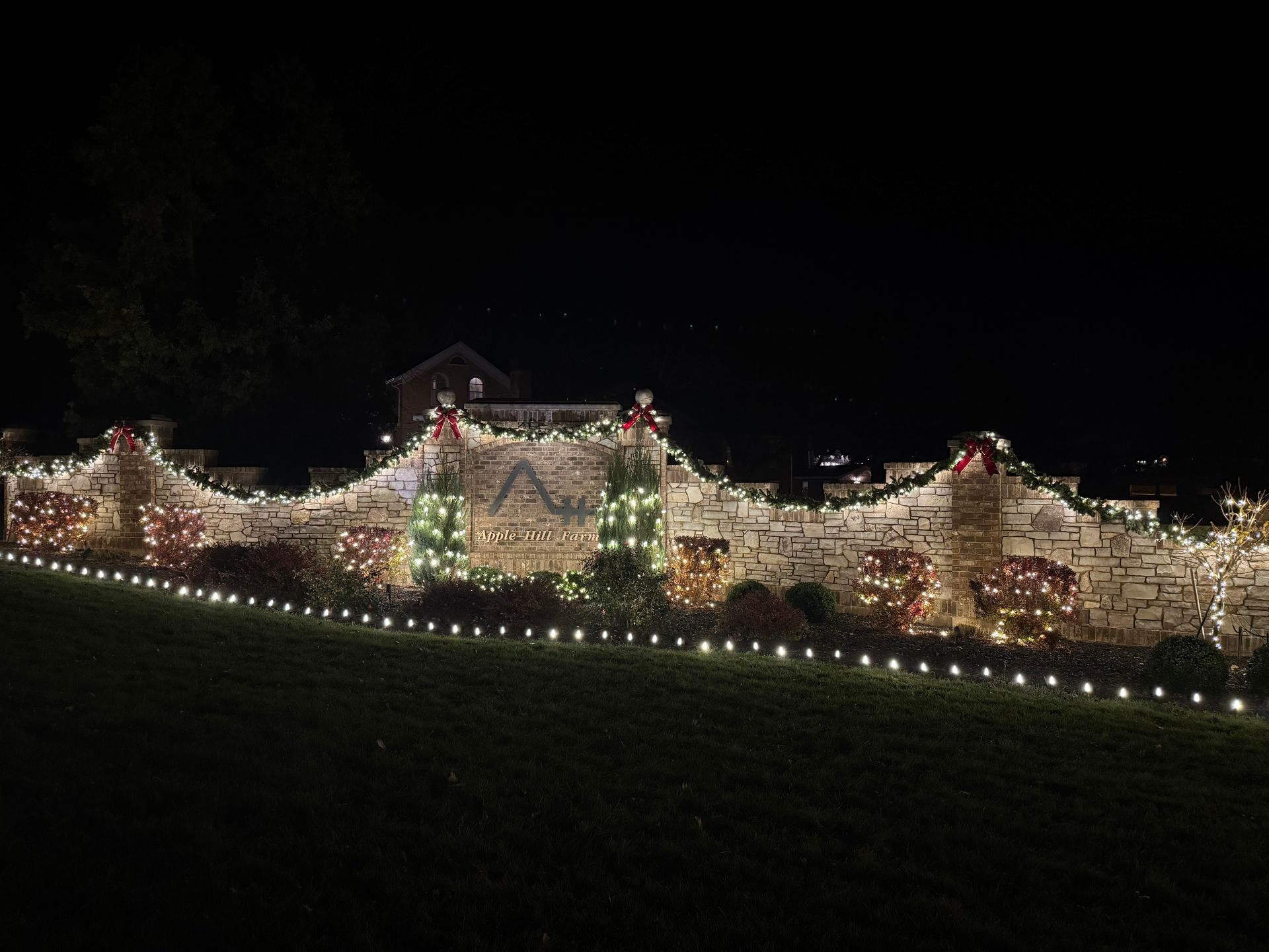 A fence is decorated with christmas lights at night.