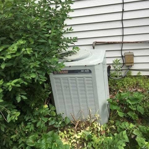 Air conditioning unit surrounded by overgrown bushes next to a white house.