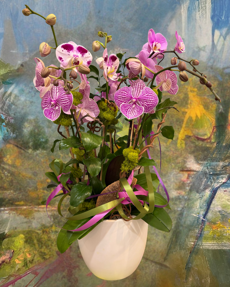 Pink orchids in a white hanging pot against an abstract painted background