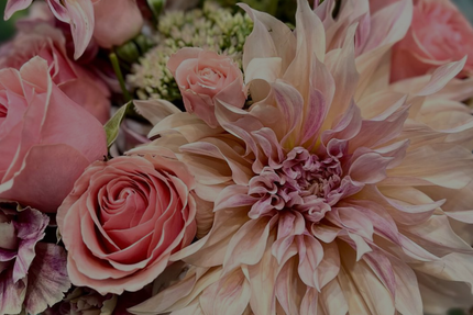 Pink roses and pale pink dahlias in a soft floral bouquet