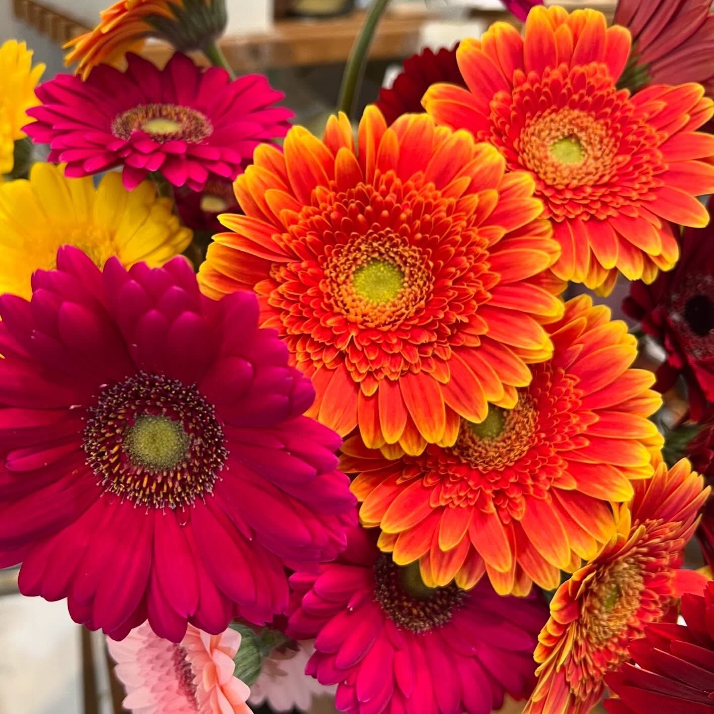 Vibrant bouquet of gerbera daisies in shades of red, orange, and yellow.
