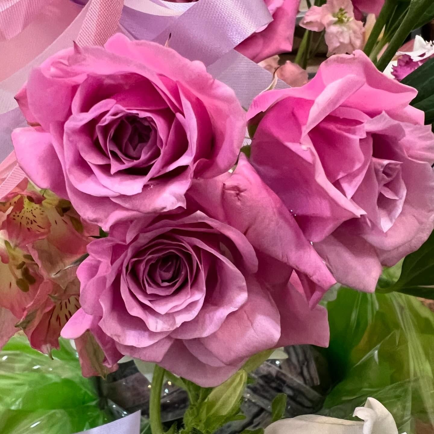 Three mauve roses in a floral arrangement, close up, with other flowers and ribbon.