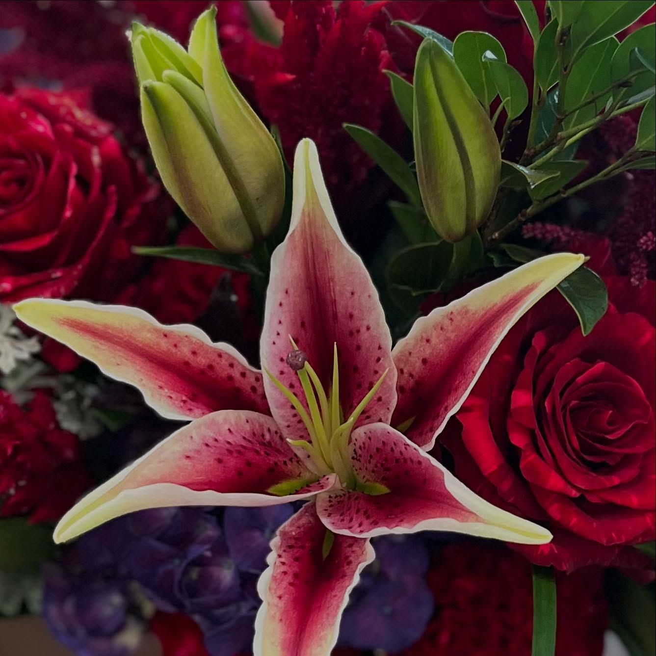 Close-up of a vibrant flower arrangement, featuring a prominent pink and white stargazer lily, surrounded by red roses and other flowers.