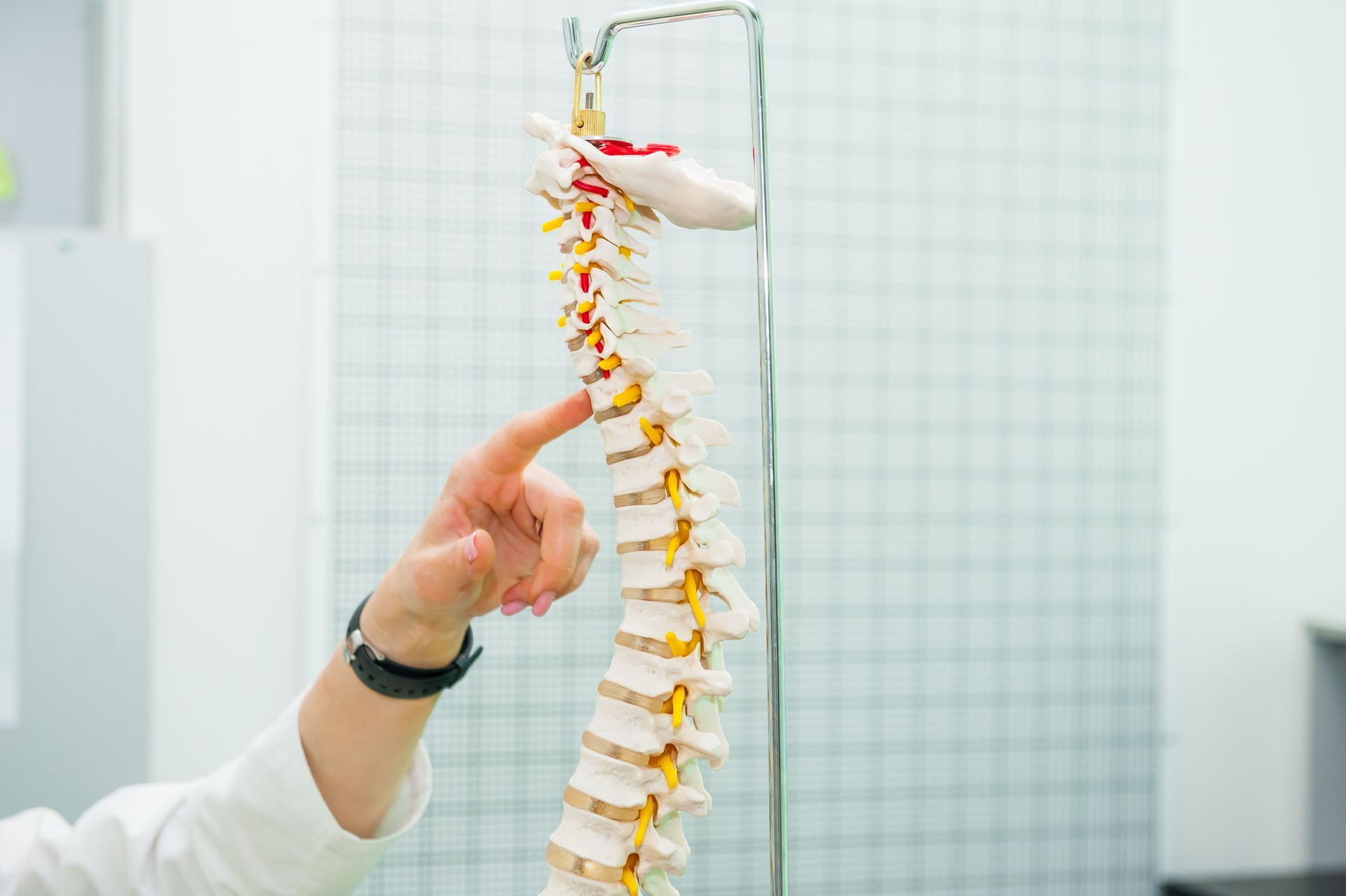 chiropractor services