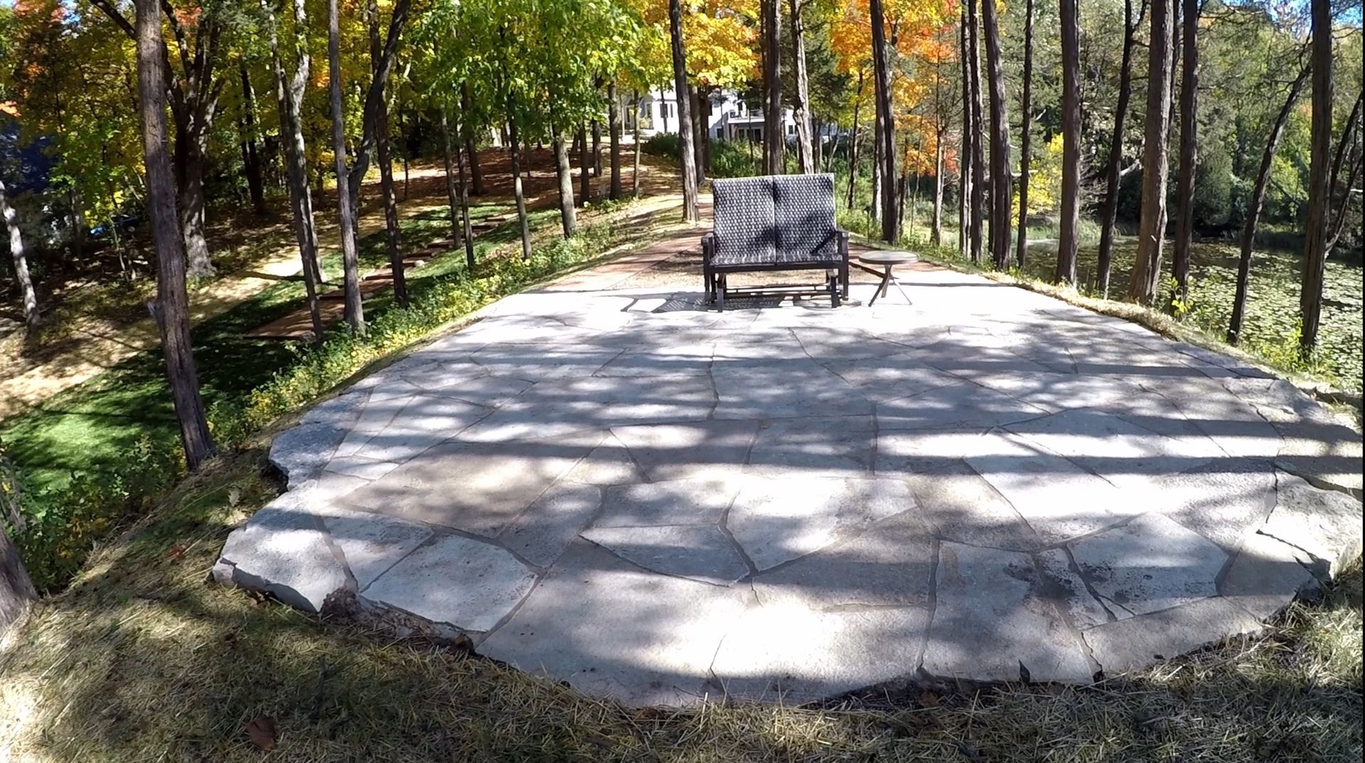 A bench is sitting on a patio in the middle of a forest.