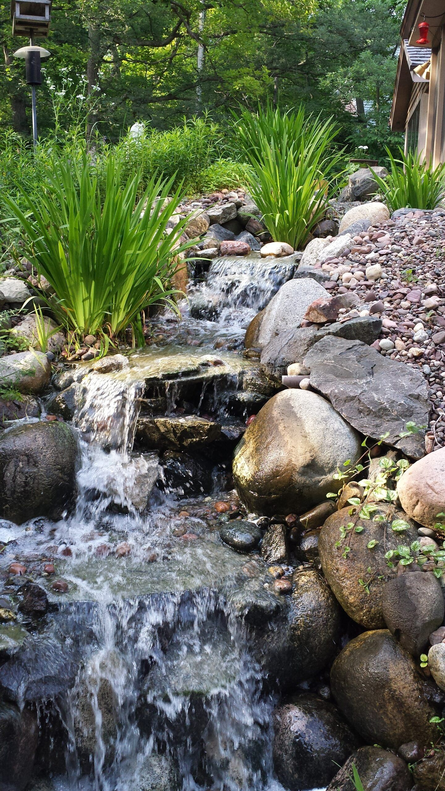 A small waterfall surrounded by rocks and plants in a garden.