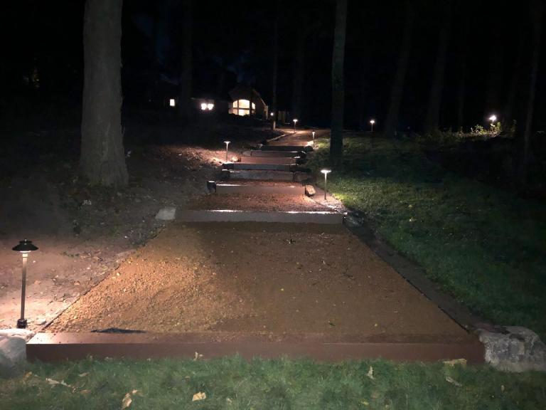 A path in the woods is lit up at night.