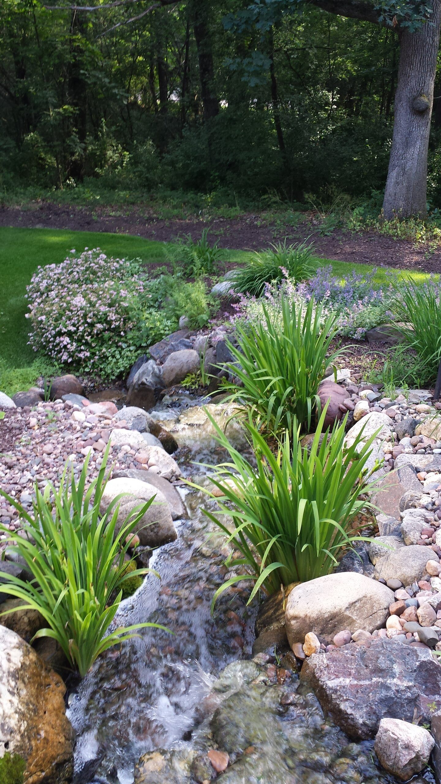 There is a small waterfall in the middle of a rocky area.