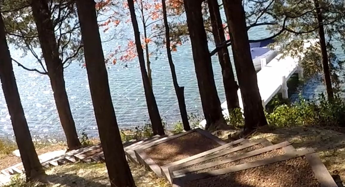 A boat is docked in the water behind a row of trees.