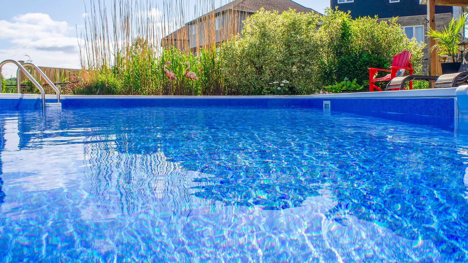 Blue-tiled swimming pool reflecting sunlight, with a house and greenery in the background.