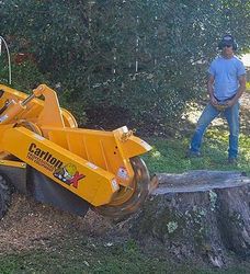 A man is standing next to a machine that is cutting a tree stump.