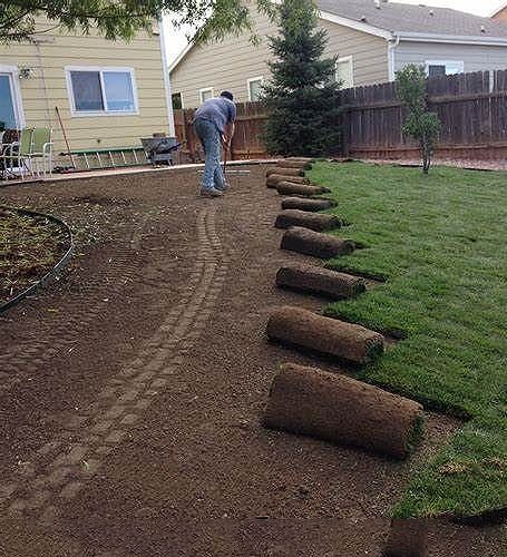 A man is laying rolls of turf in a backyard.