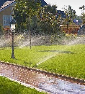 A sprinkler is spraying water on a lush green lawn.