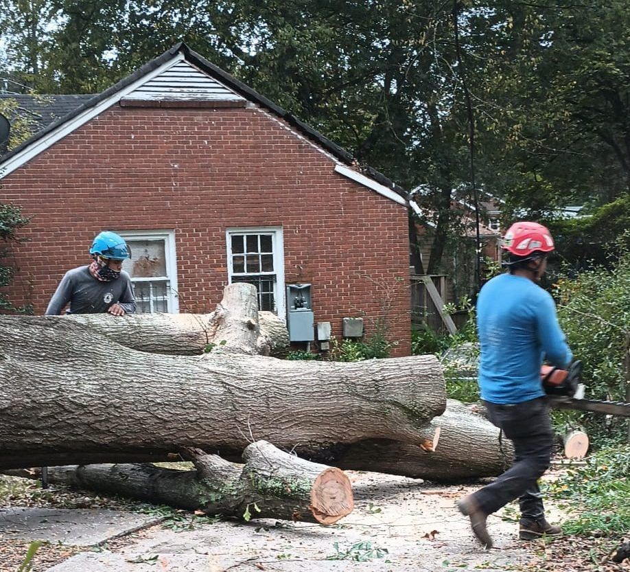 Two men are cutting a large log in front of a brick house.