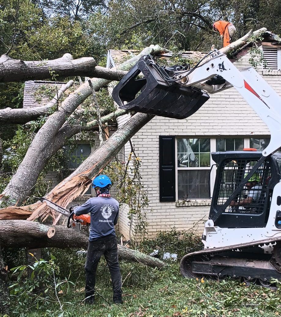 A man is cutting down a tree in front of a house.