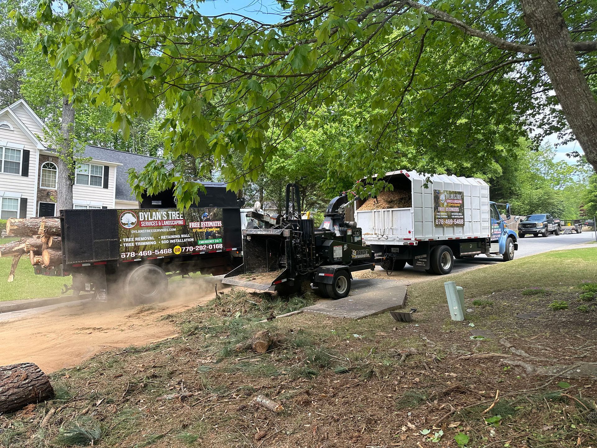 A tree stump grinder is being used to remove a tree stump.