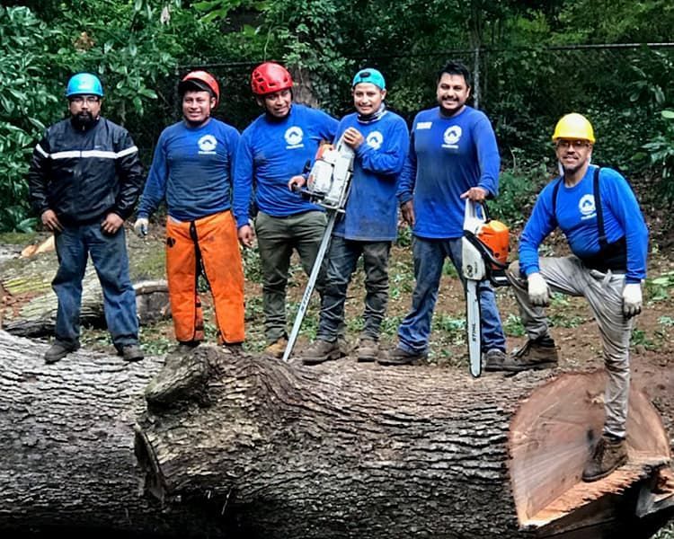 A group of men are standing next to a large log.