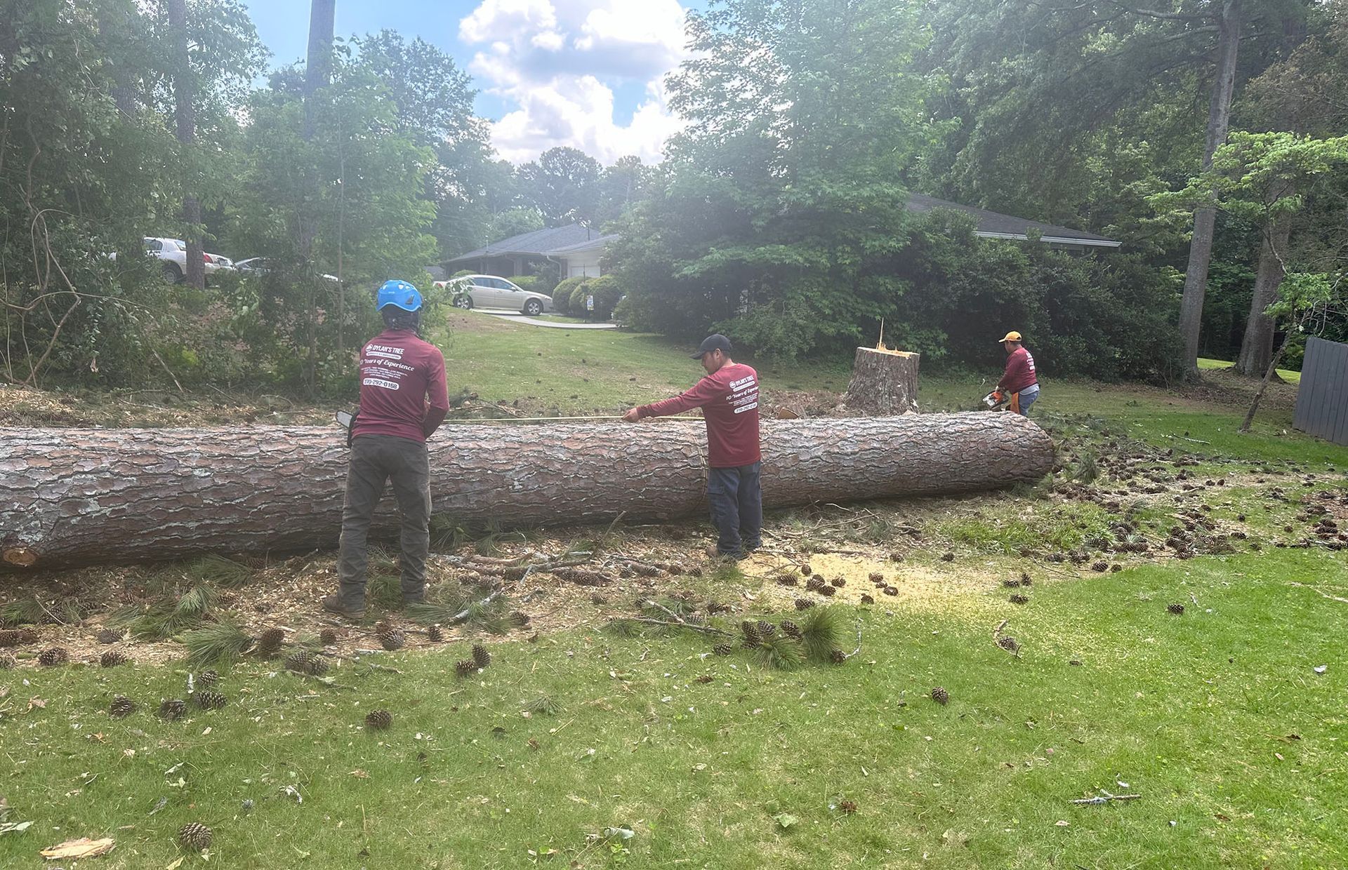 Two men are standing next to a large log in a yard.