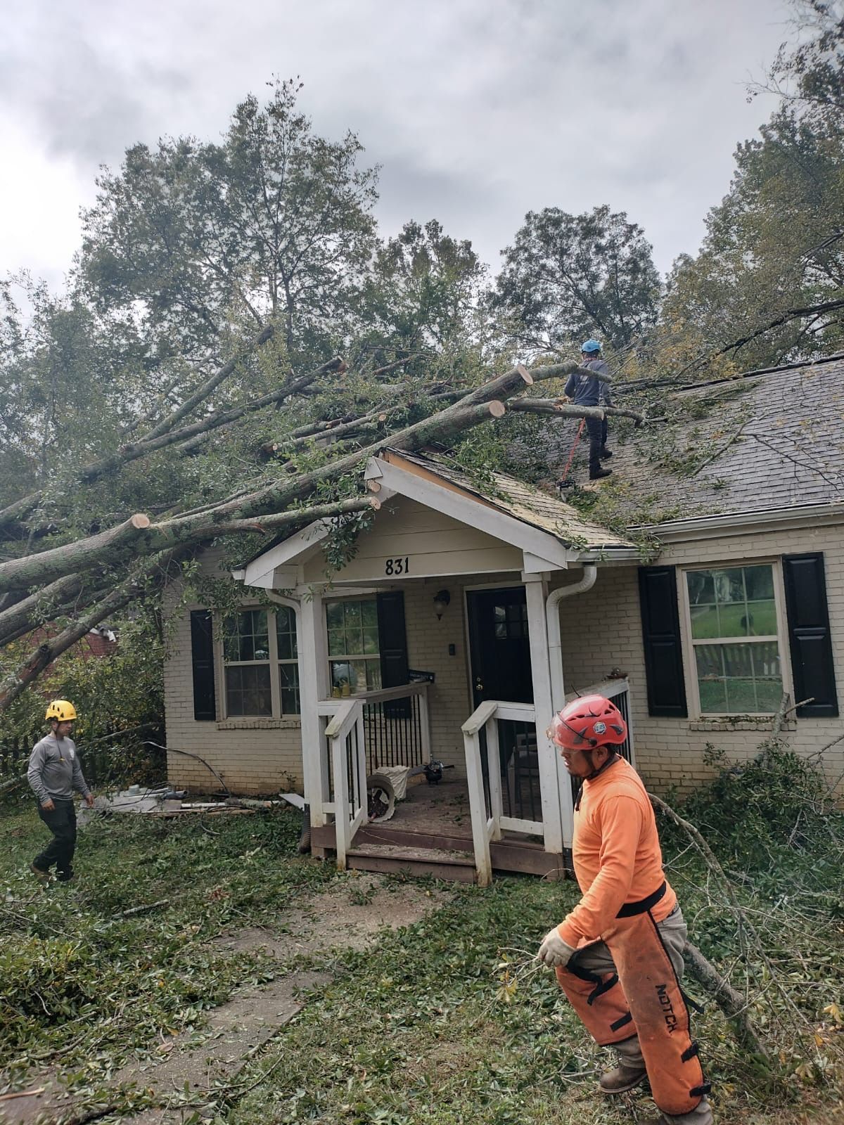 A man is standing in front of a house with a tree fallen on it.